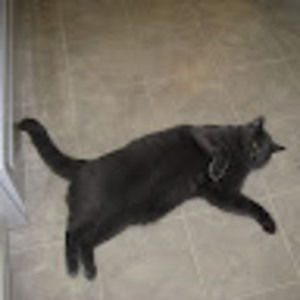 Meet your Posher, Meredith